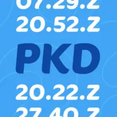 Ryczałt 5 5 jakie PKD? Sprawdź, które działalności się kwalifikują