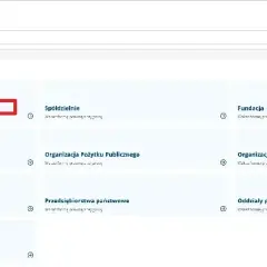 Jak szybko i łatwo sprawdzić PKD spółki – krok po kroku bez błędów