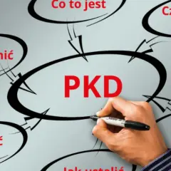 Ile kodów PKD można wpisać do KRS? Praktyczne wskazówki i wyjaśnienia