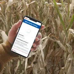 Jak złożyć wniosek suszowy krok po kroku i uniknąć błędów