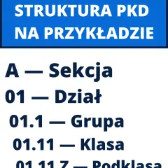 Co to jest klasa działalności PKD i dlaczego jest kluczowa dla Twojej firmy