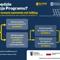 Ile dofinansowania na firmę można dostać? Sprawdź warunki i procedury!
