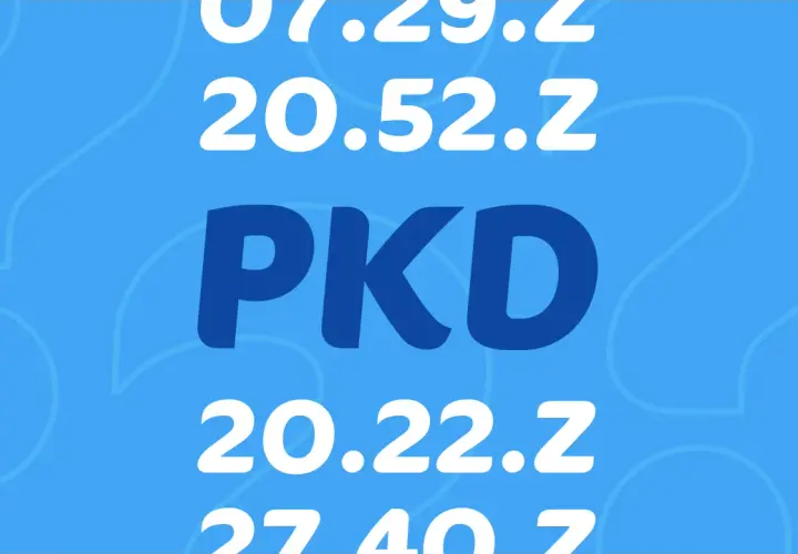 Jak wybrać właściwe kody PKD dla kierowców na własnej działalności? Praktyczne porady