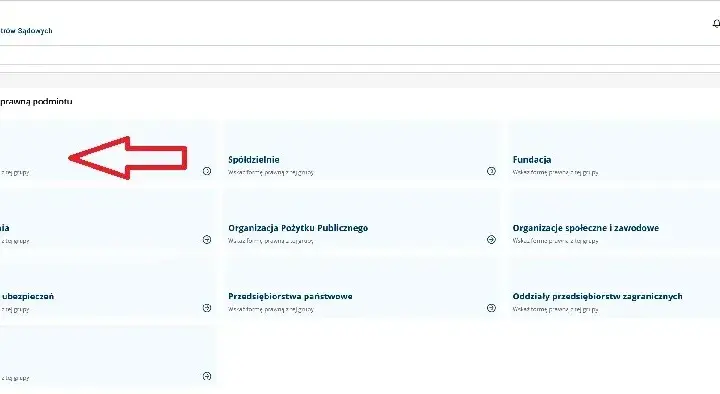 Jak szybko i łatwo sprawdzić PKD spółki – krok po kroku bez błędów