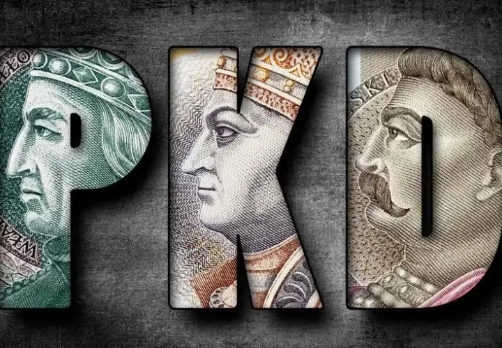 Ryczałt 15 jakie PKD – sprawdź, które kody pozwalają oszczędzać