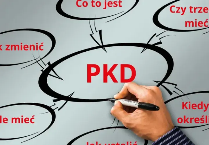 Ile kodów PKD można wpisać do KRS? Praktyczne wskazówki i wyjaśnienia