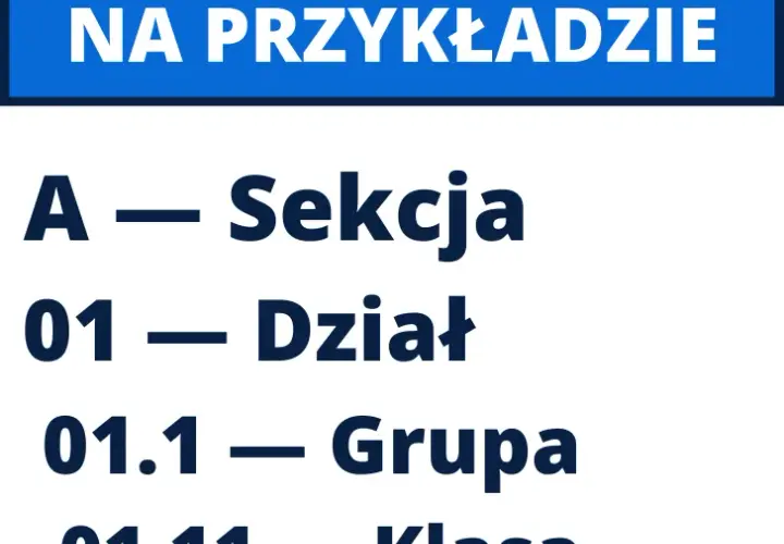 Co to jest klasa działalności PKD i dlaczego jest kluczowa dla Twojej firmy