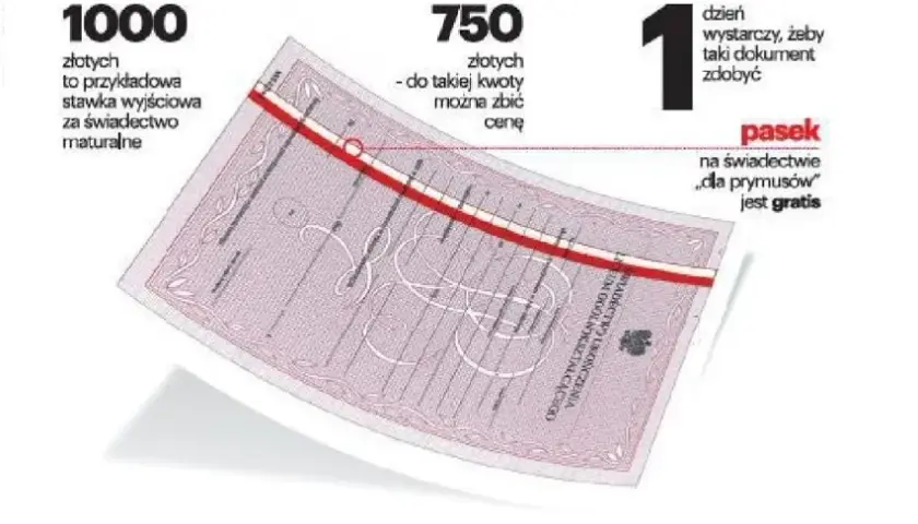 Ile kosztuje odpis świadectwa maturalnego? Uniknij niepotrzebnych wydatków!