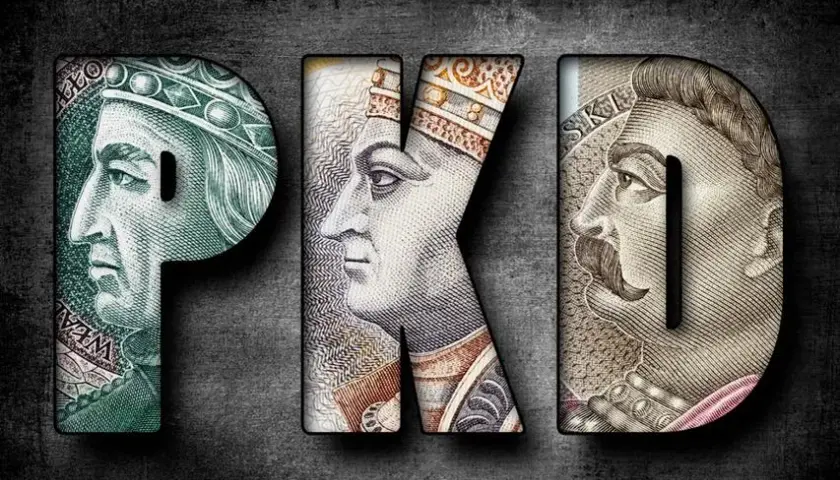 Ryczałt 15 jakie PKD – sprawdź, które kody pozwalają oszczędzać