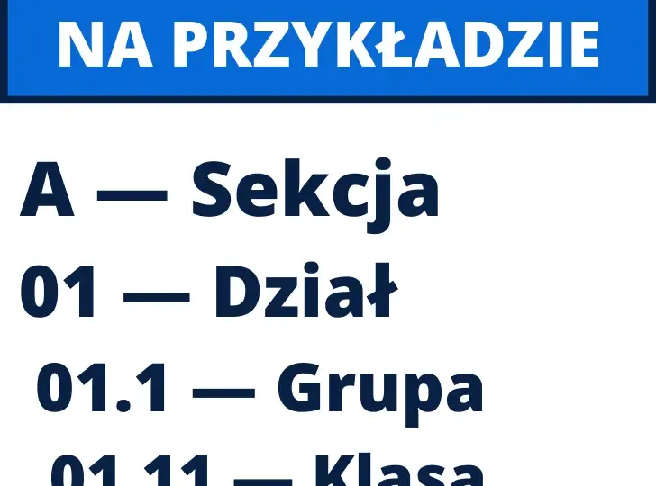 Co to jest klasa działalności PKD i dlaczego jest kluczowa dla Twojej firmy